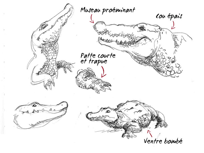 recherches